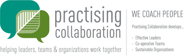 Practicing Collaboration